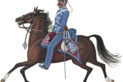 Gardehusarregimentet, sergent 1886